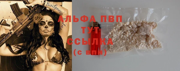 индика Арсеньев