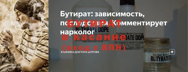 индика Арсеньев