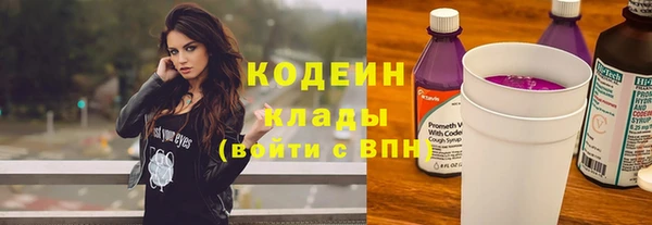 индика Арсеньев