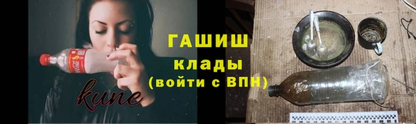 индика Арсеньев