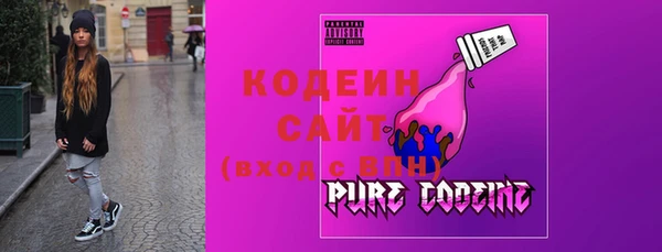 индика Арсеньев