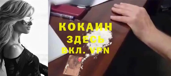 индика Арсеньев