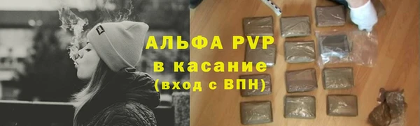 индика Арсеньев
