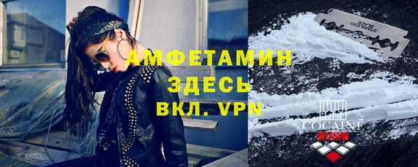индика Арсеньев