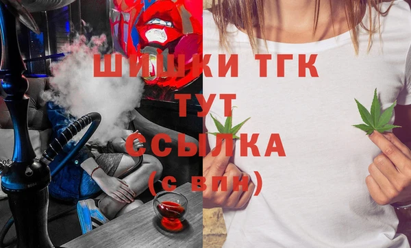 индика Арсеньев