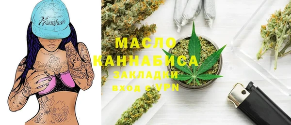 индика Арсеньев