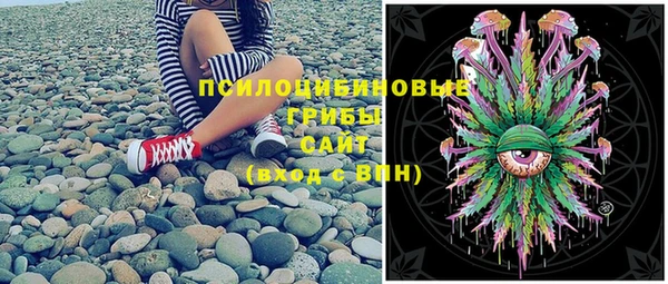 дмт Аркадак