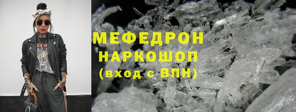 индика Арсеньев