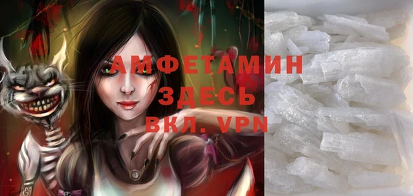 индика Арсеньев