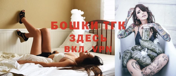 индика Арсеньев